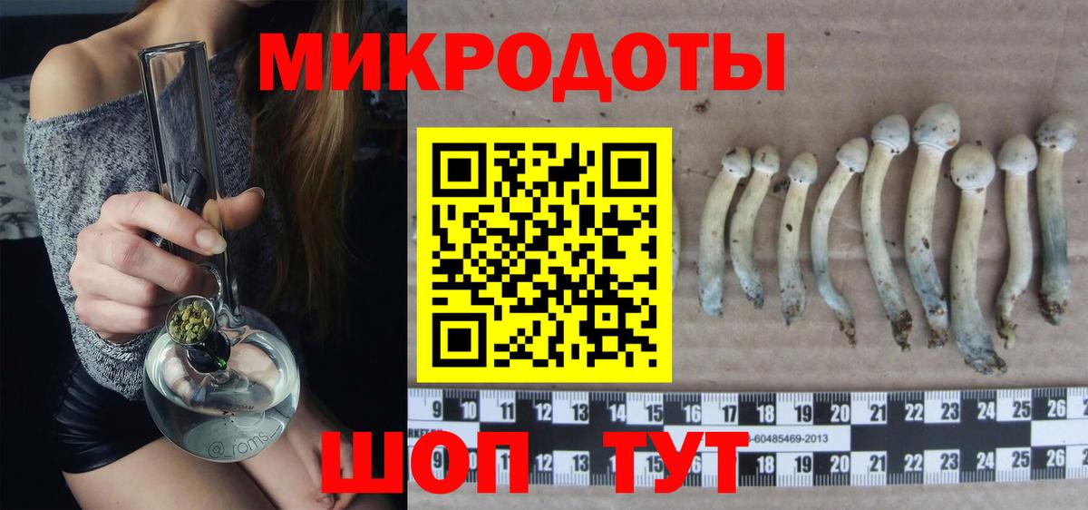 купить наркоту  Псилоцибиновые грибы ЛСД  Вход с VPN  Кострома 
