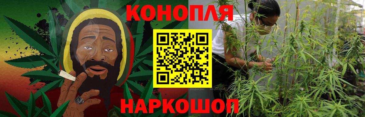 Бошки Шишки план  Конопля Bruce Banner  Кострома  Вход с VPN  Марихуана тримм 