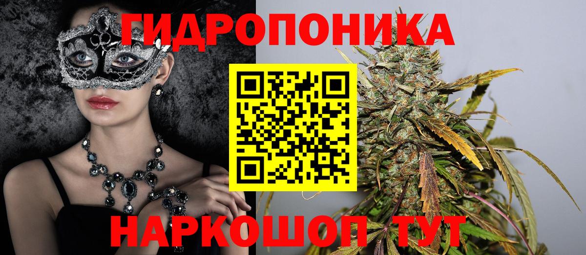 Канабис план Кострома